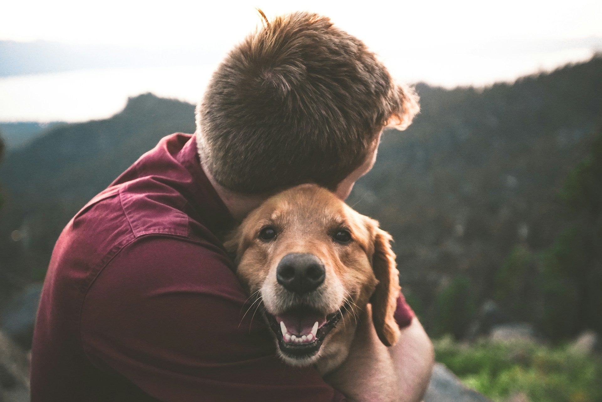 Simple Ways to Help Your Dog Feel Young Again