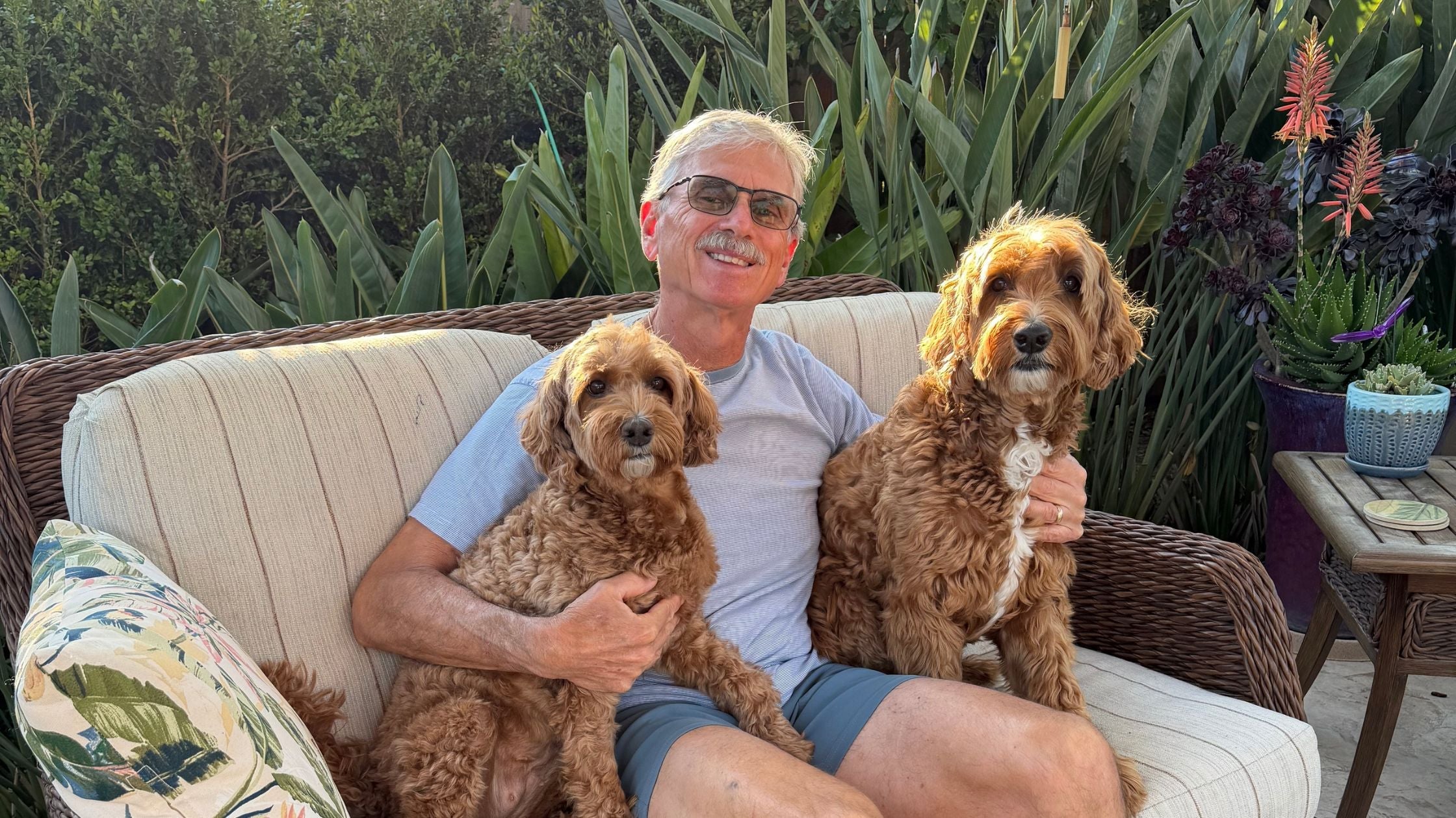 Redefining Dog Longevity with Leap Years