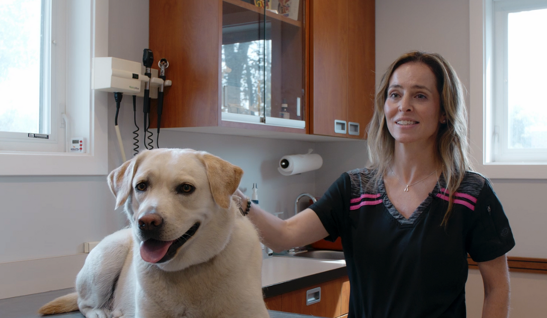 Why veterinarians are excited about Leap Years