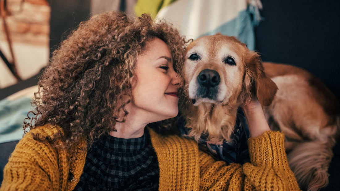 Golden Years, Golden Moments: How the Bond with Your Dog Changes as They Age