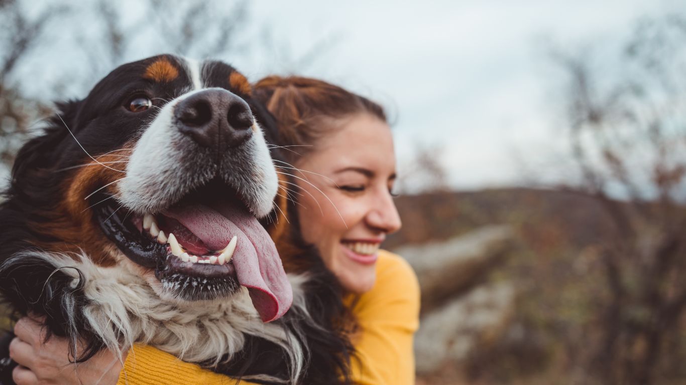 Help gauge your dog's quality of life