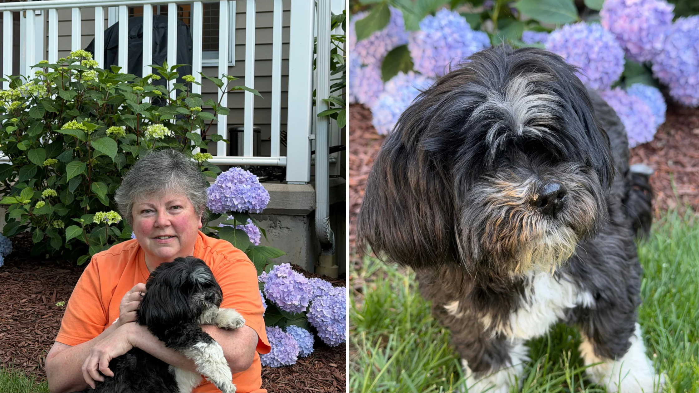 The Story of Louis: Aging with Trust and Connection