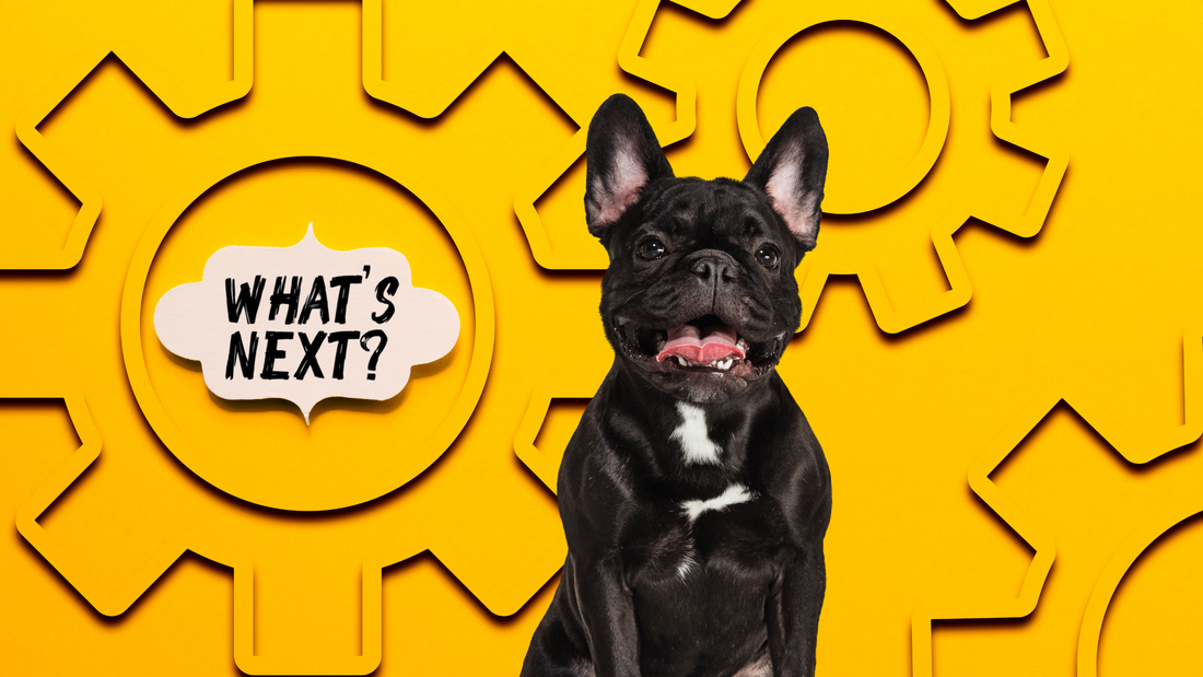 What’s Next in Dog Health?