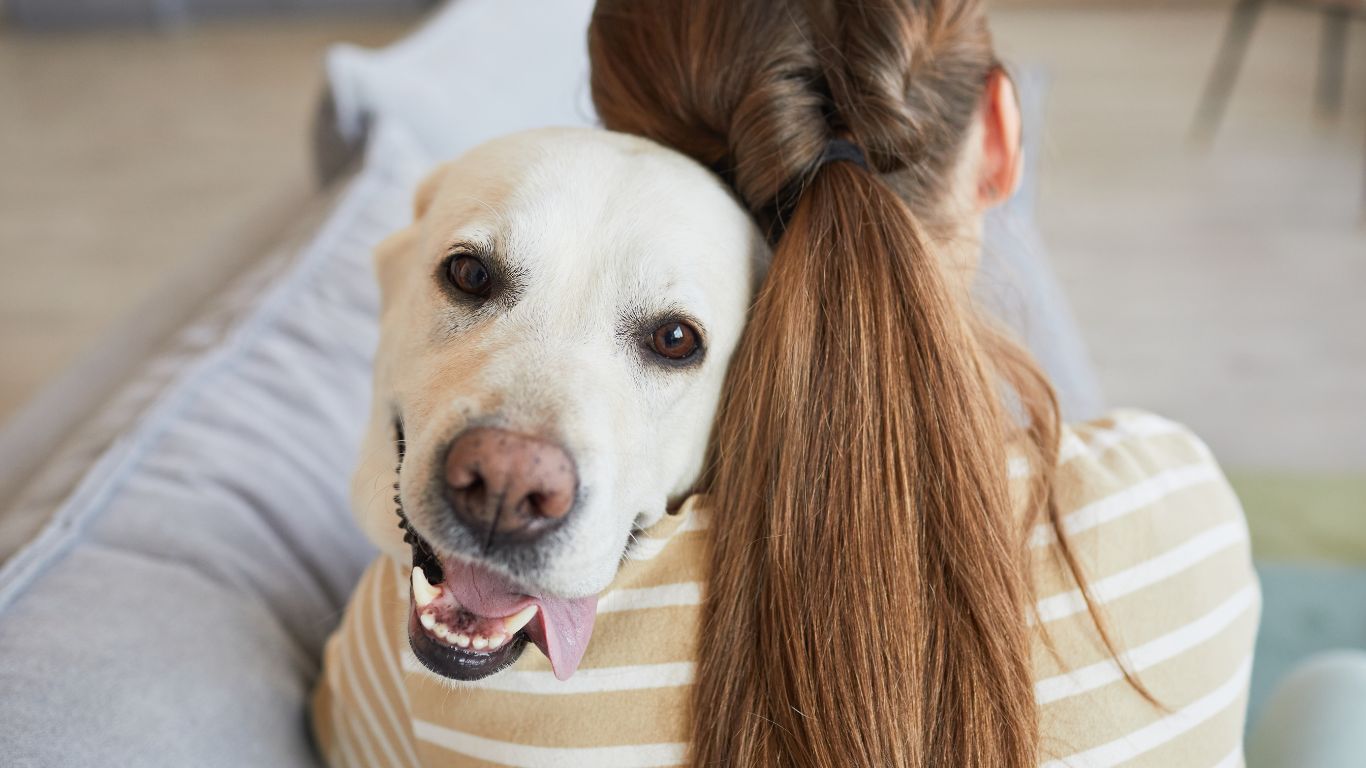When should I think about healthy aging for my dog?