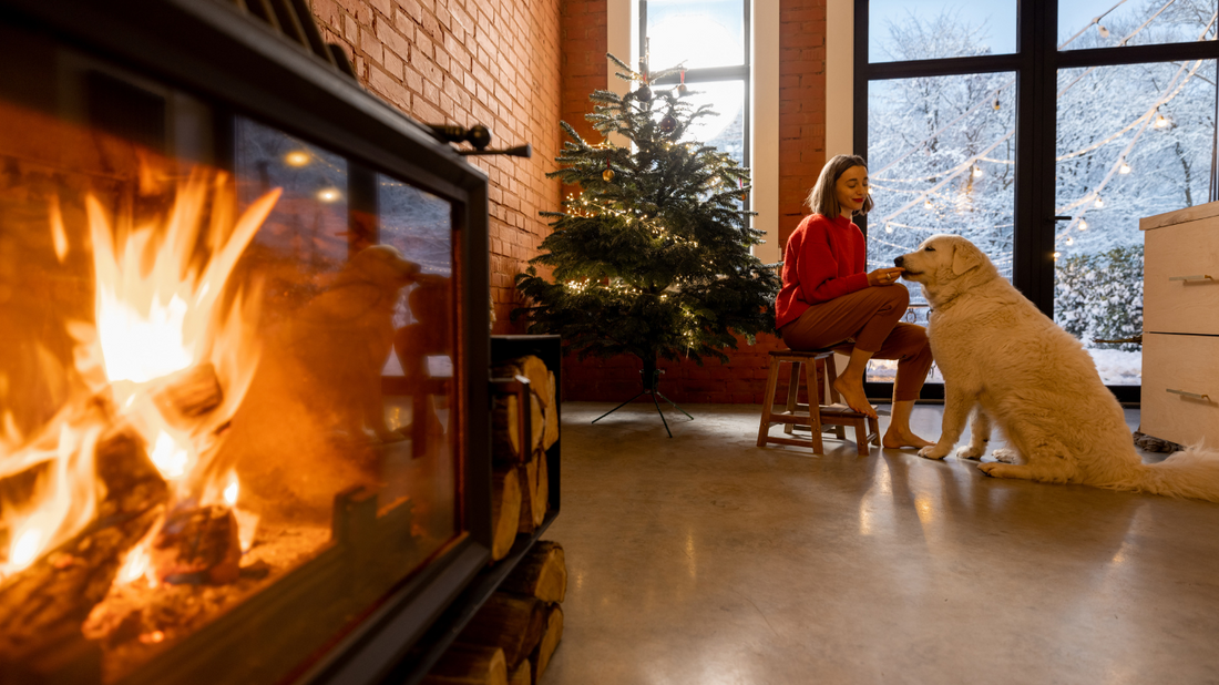 Cold Weather, Warm Hearts: Keeping Your Dog Healthy in Winter