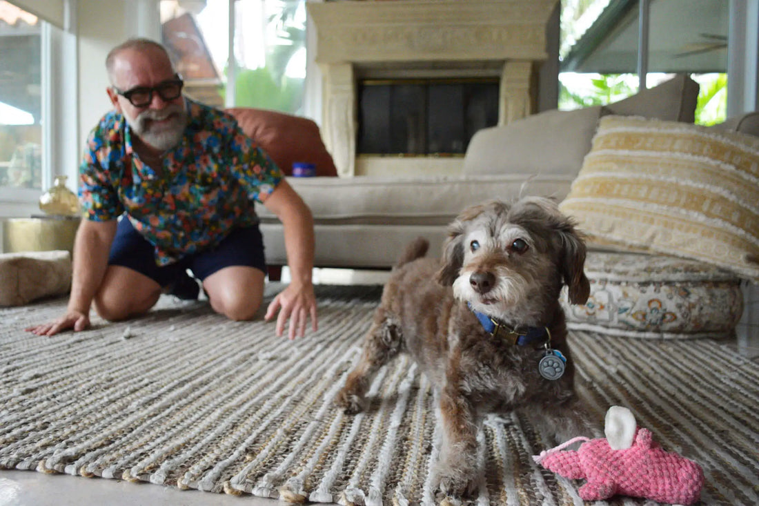 How Going Back to School Can Impact Your Dog’s Health: Tips for Keeping Your Dog’s Mind Active and Happy