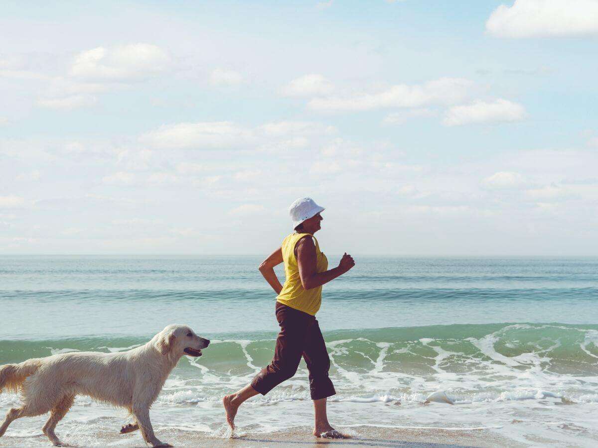 Hot Weather Hazards: How aging affects your dog’s exposure to heat