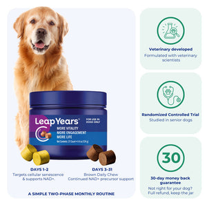 Daily Healthy-Aging Support for Aging Dogs