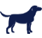 dog-size3