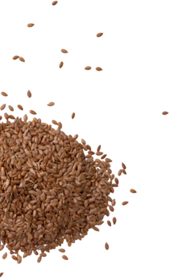 flaxseed