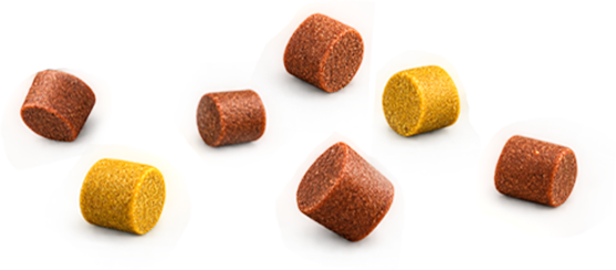 formula_sec-chew-img
