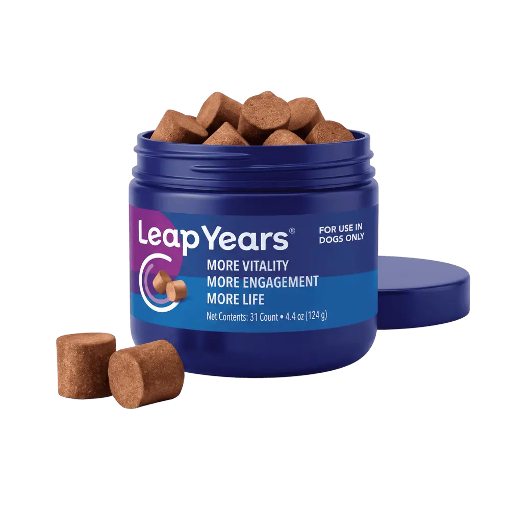 Leap Years jar
