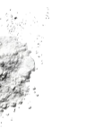 ingridient-img1