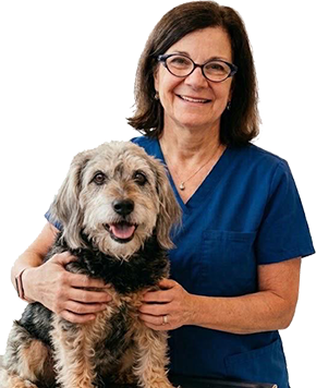 Dr. Ginny Rentko