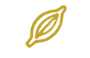 restucture-point-icon3