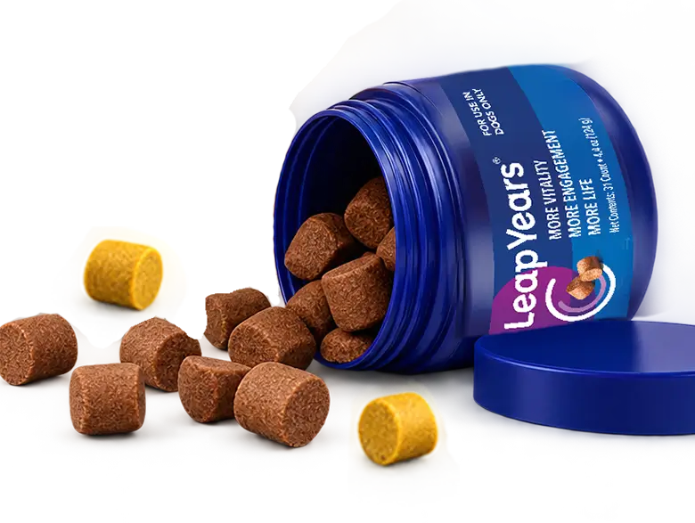 Leap Years jar with golden and brown chews