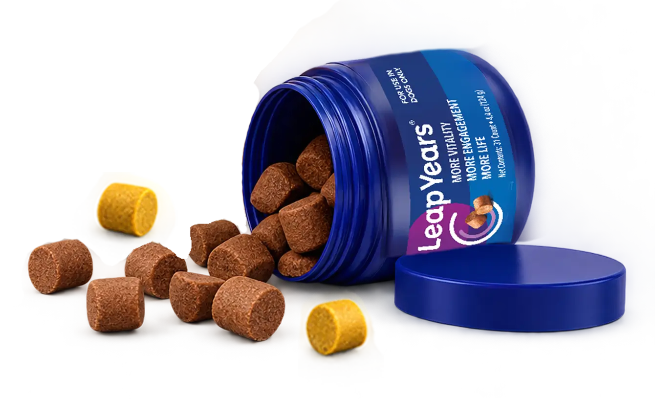 Leap Years jar with golden and brown chews
