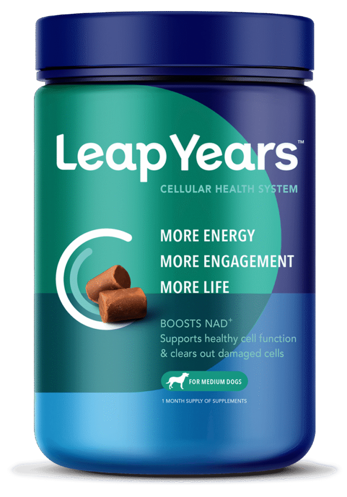 Leap Years Senior Dog Supplement NAD+ Boosting More Life in Your Dog