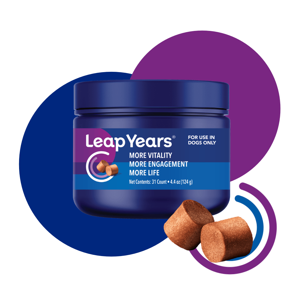 LeapYearsBottleChewsRenderBackgroundCircles1000x1000