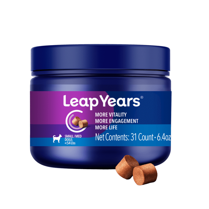 Leap Years for Dogs - Subscribe & Save with Free Shipping