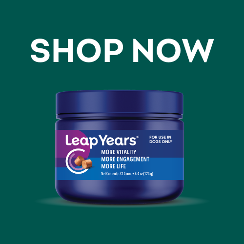 Leap Years Shop Now Bottle