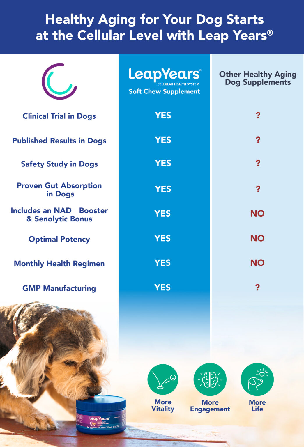 Leap Years Competitor Comparison Graphic Vertical