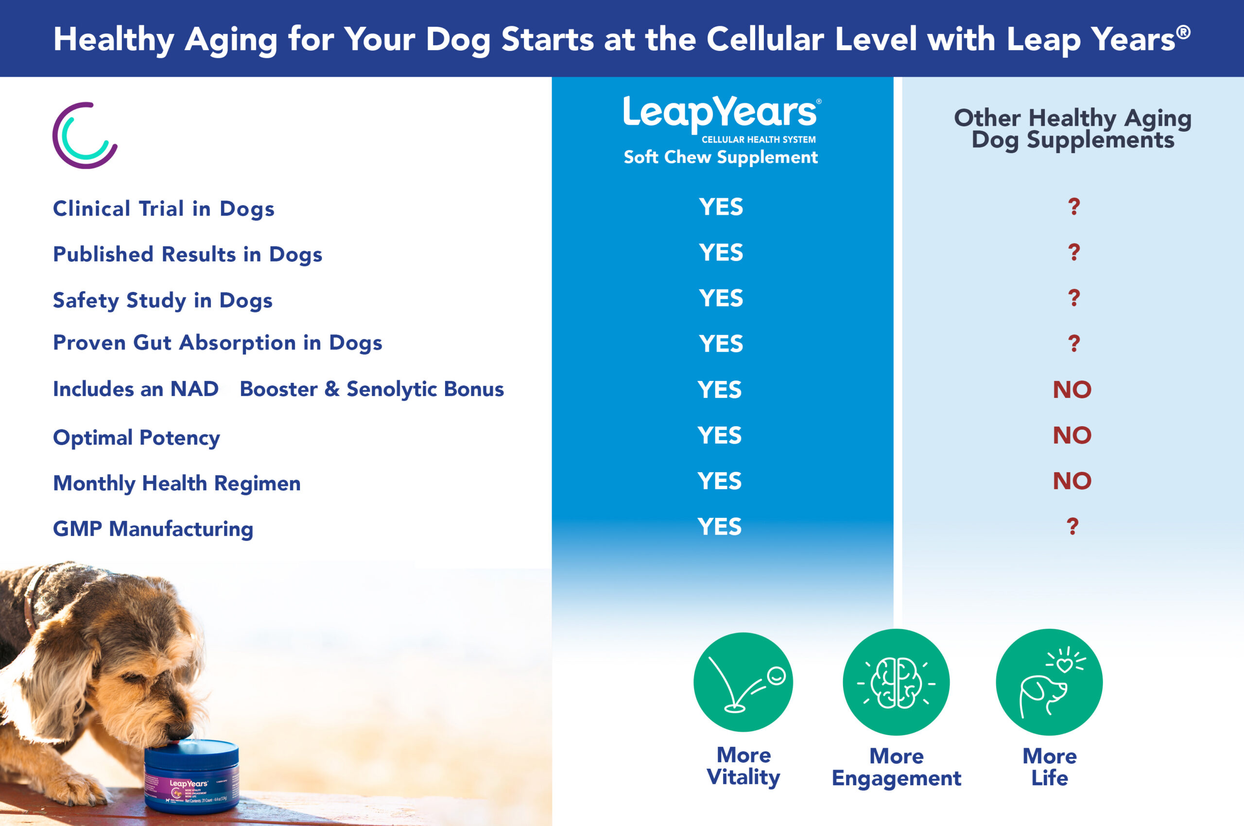 LeapYear Competitor Comparison Graphic