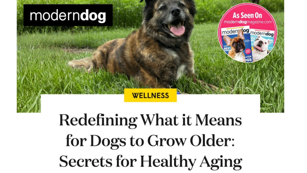 Modern Dog - Redifning What it Means for Dogs to Grow Older. Secrets for Healthy Aging