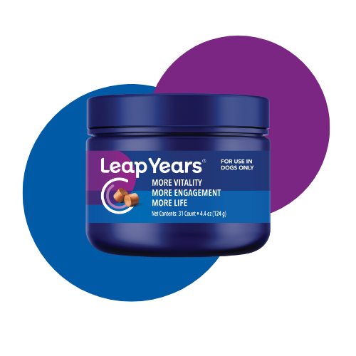 Quality Promise Leap Years Digital Render