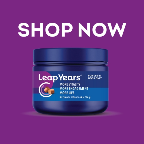 Leap Years Shop Now
