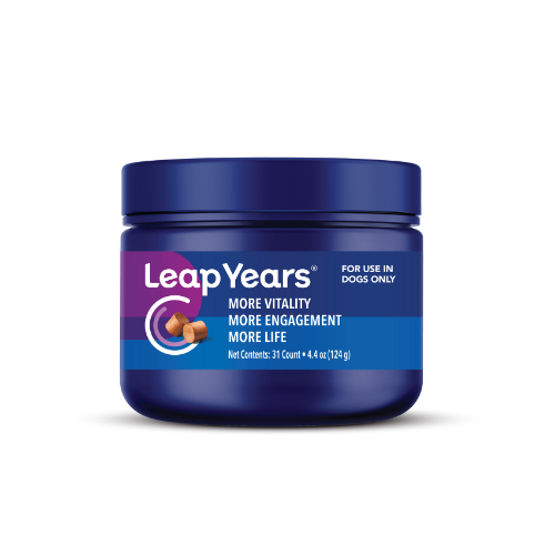 Leap Years Bottle Digital Render
